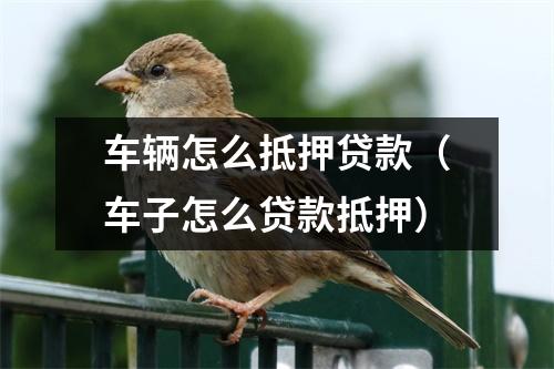 车辆怎么抵押贷款（车子怎么贷款抵押）