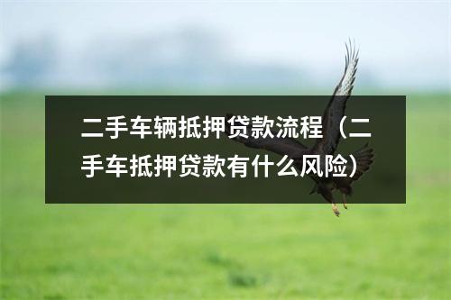 二手车辆抵押贷款流程（二手车抵押贷款有什么风险）