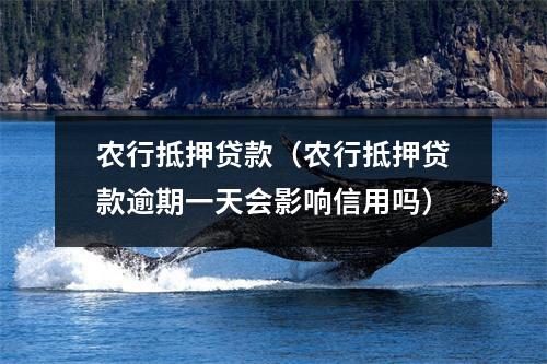 农行抵押贷款（农行抵押贷款逾期一天会影响信用吗）