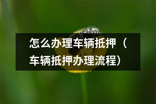 怎么办理车辆抵押（车辆抵押办理流程）