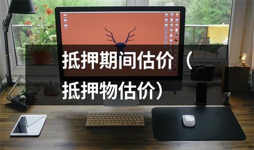 抵押期间估价（抵押物估价）