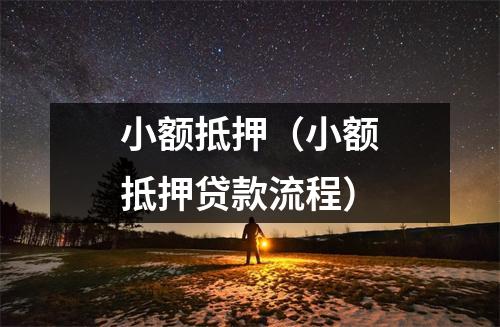 小额抵押（小额抵押贷款流程）