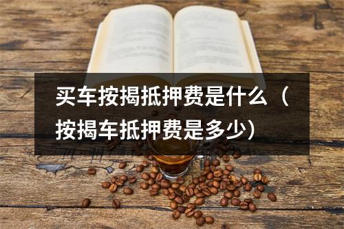 买车按揭抵押费是什么（按揭车抵押费是多少）