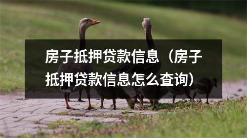 房子抵押贷款信息（房子抵押贷款信息怎么查询）