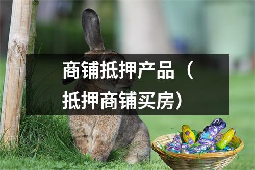 商铺抵押产品（抵押商铺买房）