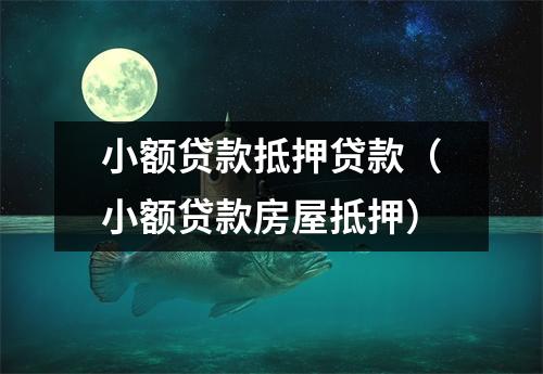 小额贷款抵押贷款（小额贷款房屋抵押）