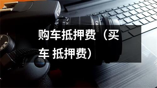 购车抵押费（买车 抵押费）