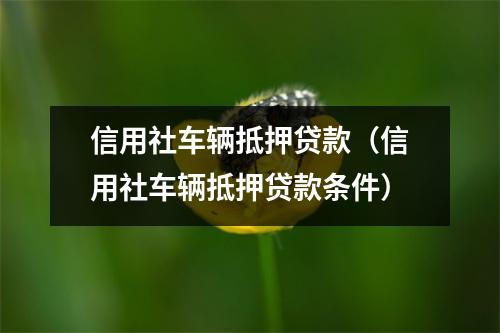 信用社车辆抵押贷款（信用社车辆抵押贷款条件）