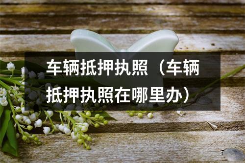 车辆抵押执照（车辆抵押执照在哪里办）