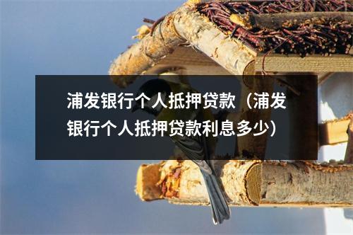 浦发银行个人抵押贷款（浦发银行个人抵押贷款利息多少）