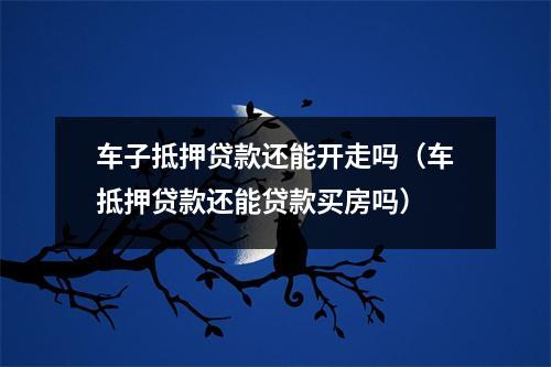 车子抵押贷款还能开走吗（车抵押贷款还能贷款买房吗）