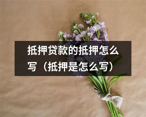 抵押贷款的抵押怎么写（抵押是怎么写）