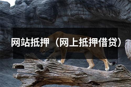 网站抵押（网上抵押借贷）