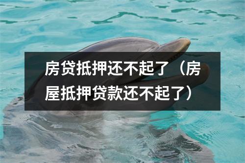 房贷抵押还不起了（房屋抵押贷款还不起了）