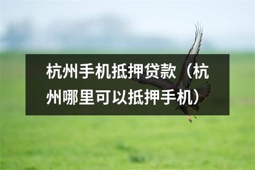 杭州手机抵押贷款（杭州哪里可以抵押手机）