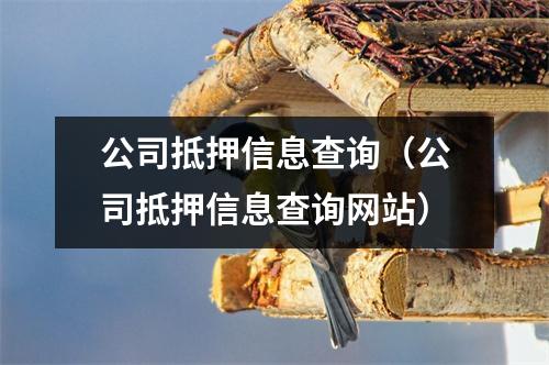 公司抵押信息查询（公司抵押信息查询网站）