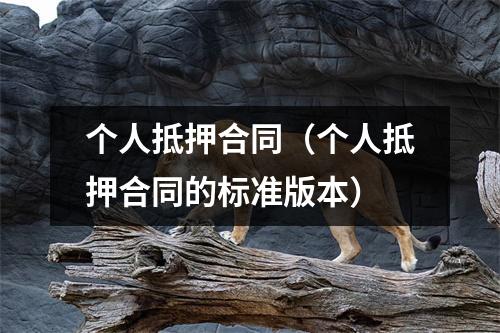 个人抵押合同（个人抵押合同的标准版本）