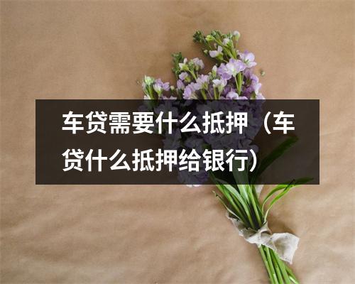 车贷需要什么抵押（车贷什么抵押给银行）