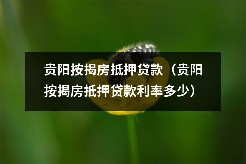贵阳按揭房抵押贷款（贵阳按揭房抵押贷款利率多少）