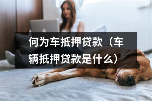 何为车抵押贷款（车辆抵押贷款是什么）