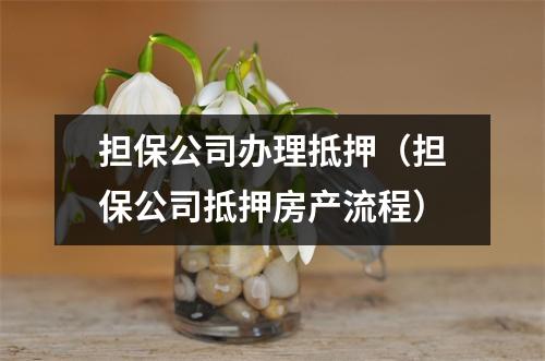 担保公司办理抵押（担保公司抵押房产流程）