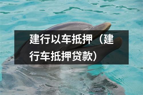 建行以车抵押（建行车抵押贷款）