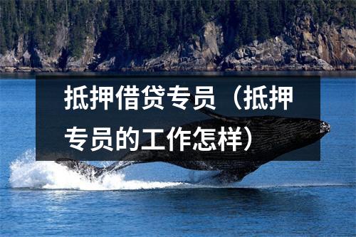抵押借贷专员（抵押专员的工作怎样）