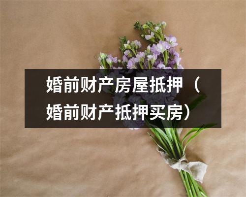 婚前财产房屋抵押（婚前财产抵押买房）