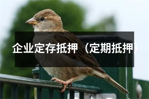 企业定存抵押（定期抵押）