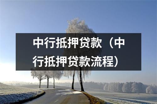 中行抵押贷款（中行抵押贷款流程）