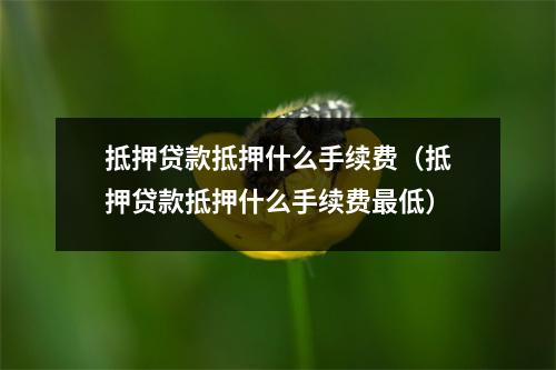 抵押贷款抵押什么手续费（抵押贷款抵押什么手续费最低）