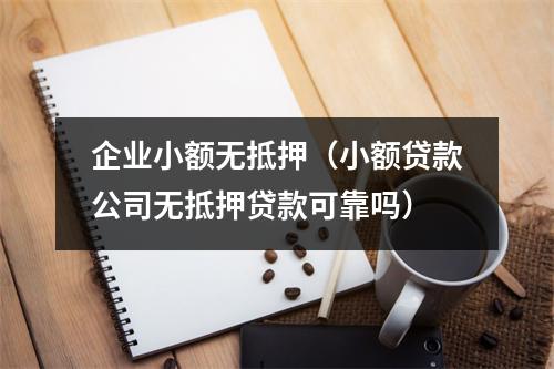 企业小额无抵押（小额贷款公司无抵押贷款可靠吗）