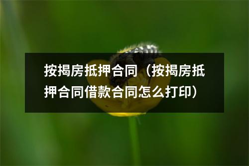 按揭房抵押合同（按揭房抵押合同借款合同怎么打印）