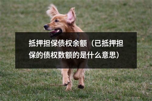 抵押担保债权余额（已抵押担保的债权数额的是什么意思）