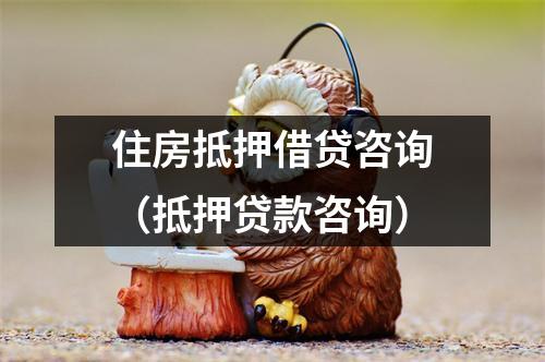 住房抵押借贷咨询（抵押贷款咨询）