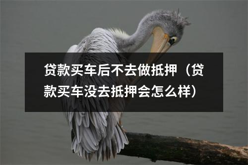 贷款买车后不去做抵押（贷款买车没去抵押会怎么样）