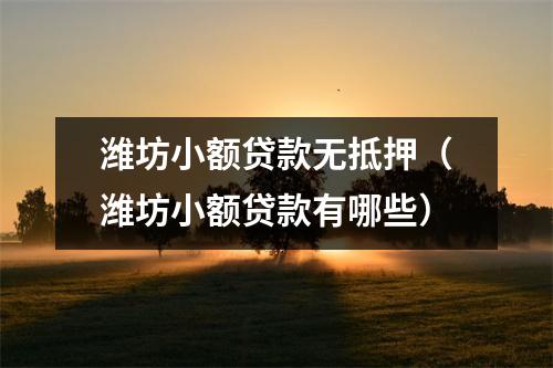 潍坊小额贷款无抵押（潍坊小额贷款有哪些）