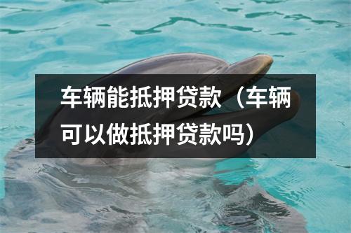车辆能抵押贷款（车辆可以做抵押贷款吗）