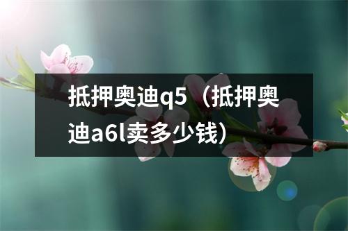 抵押奥迪q5（抵押奥迪a6l卖多少钱）