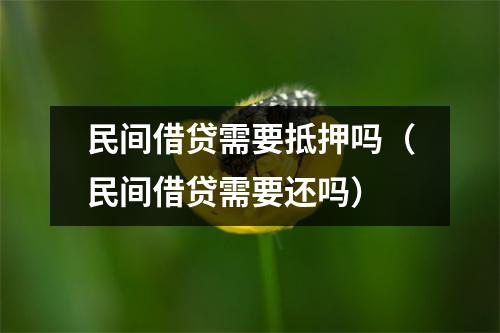 民间借贷需要抵押吗（民间借贷需要还吗）