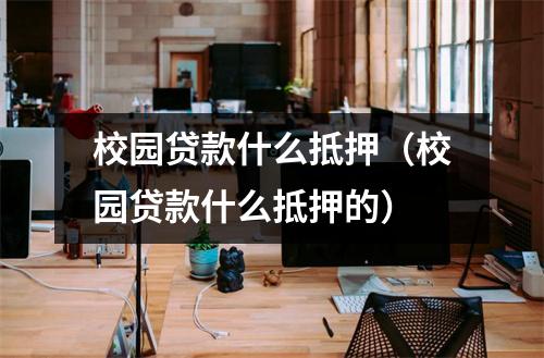 校园贷款什么抵押（校园贷款什么抵押的）