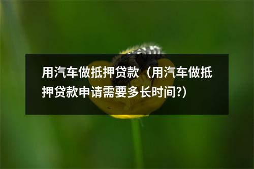 用汽车做抵押贷款（用汽车做抵押贷款申请需要多长时间?）