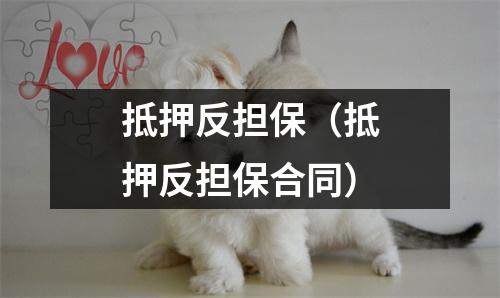 抵押反担保（抵押反担保合同）