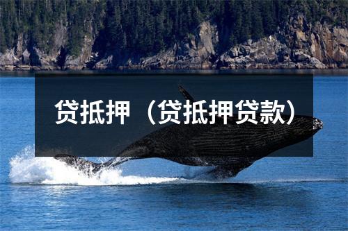 贷抵押（贷抵押贷款）