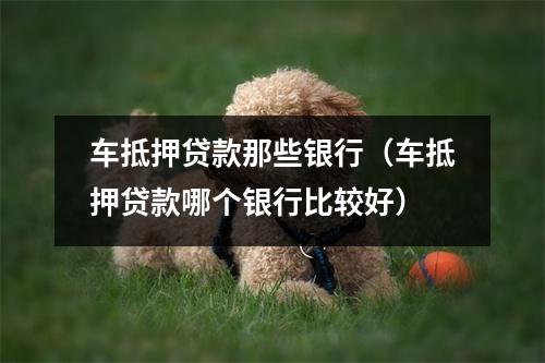车抵押贷款那些银行（车抵押贷款哪个银行比较好）