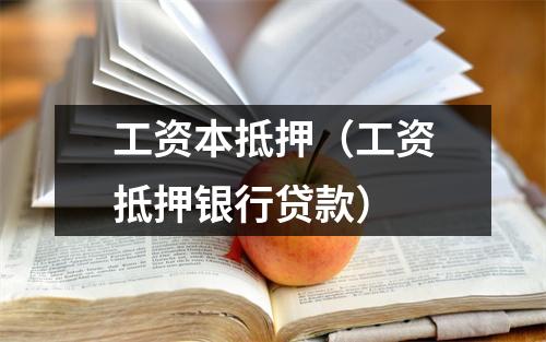 工资本抵押（工资抵押银行贷款）