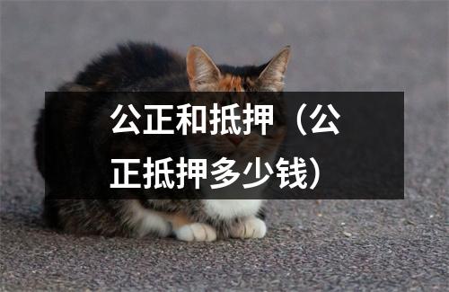 公正和抵押（公正抵押多少钱）