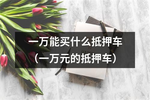 一万能买什么抵押车(一万元的抵押车)