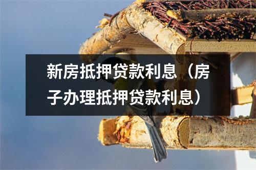 新房抵押贷款利息（房子办理抵押贷款利息）