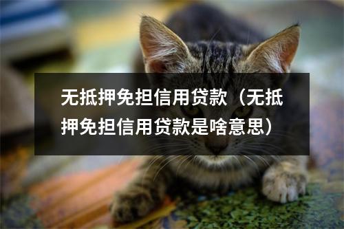 无抵押免担信用贷款（无抵押免担信用贷款是啥意思）